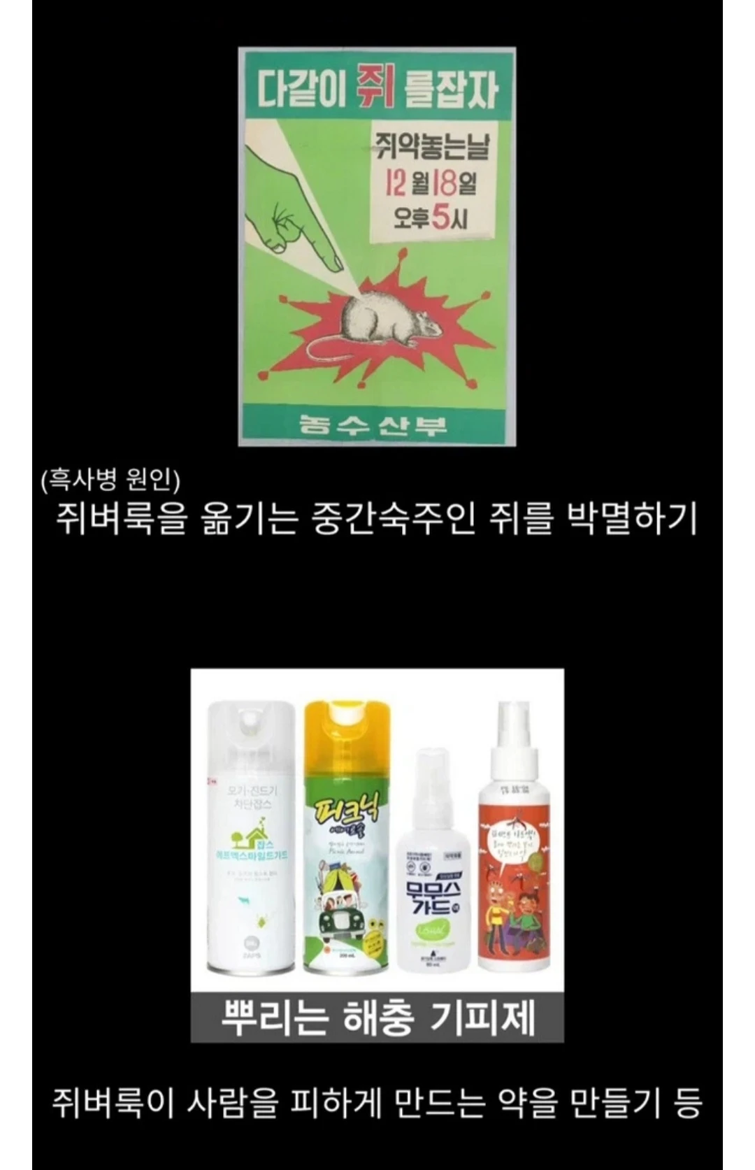 흑사병을 날려버린 전설적 의사 | 인스티즈