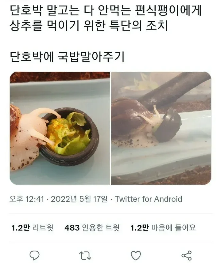 달팽이도 아는 한국의 소울푸드 | 인스티즈
