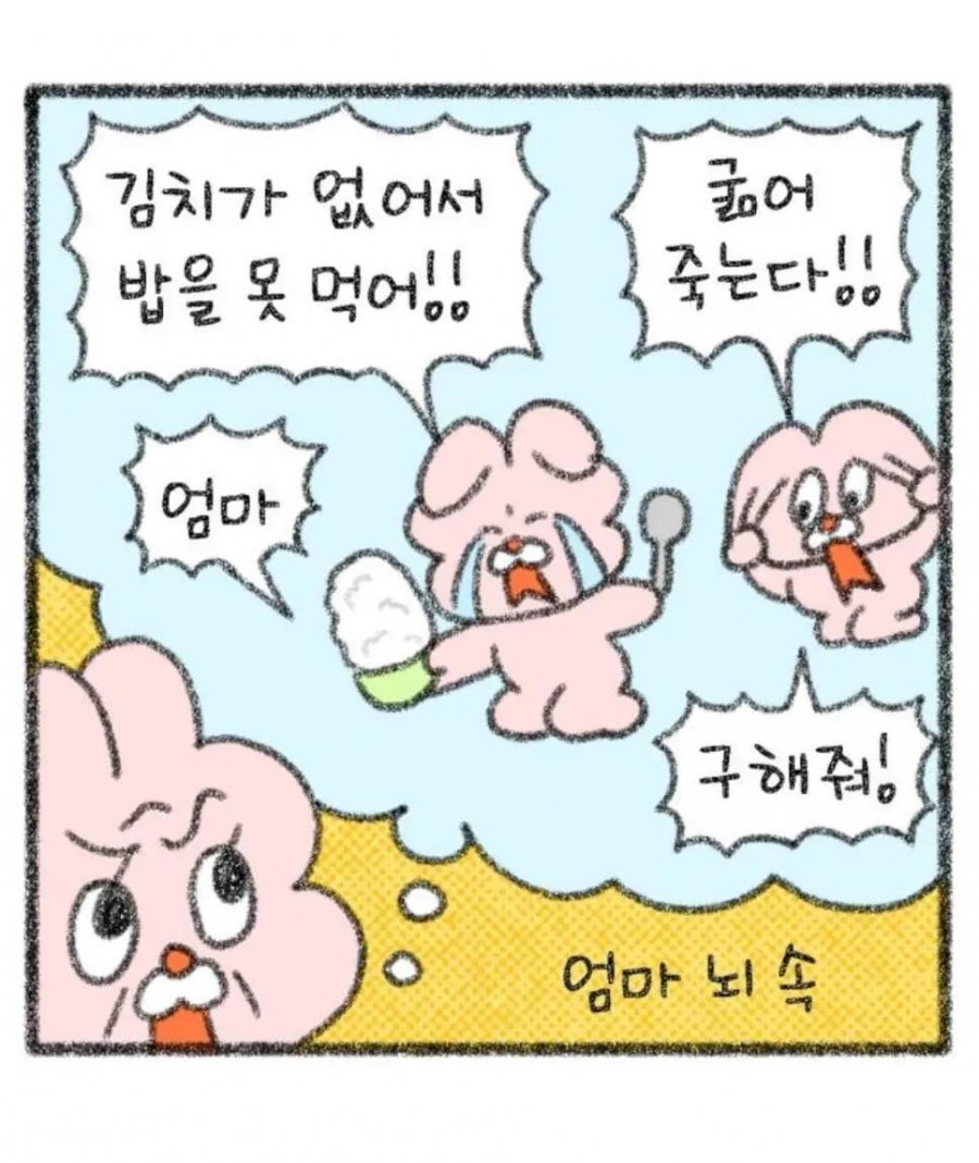김치 한 포기 | 인스티즈