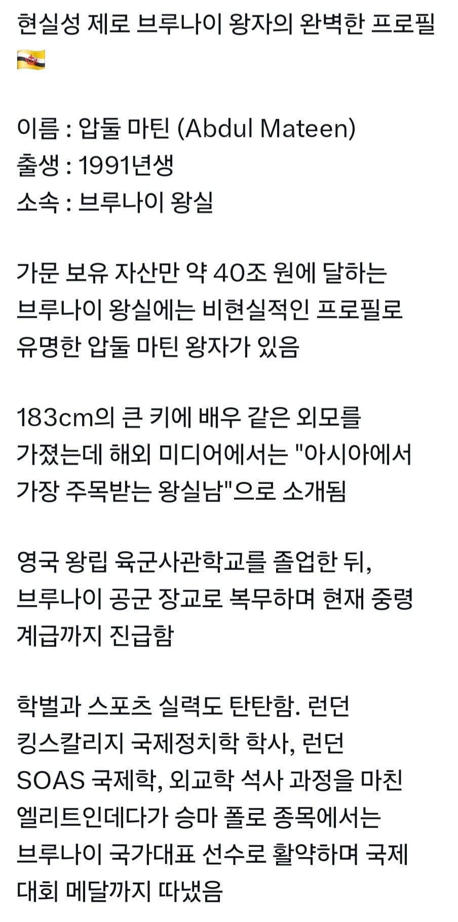 현실성 제로인 브루나이 왕자의 프로필 | 인스티즈