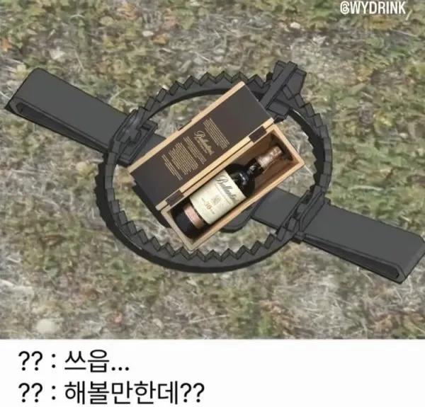 덫에 걸리는 이유.jpg | 인스티즈