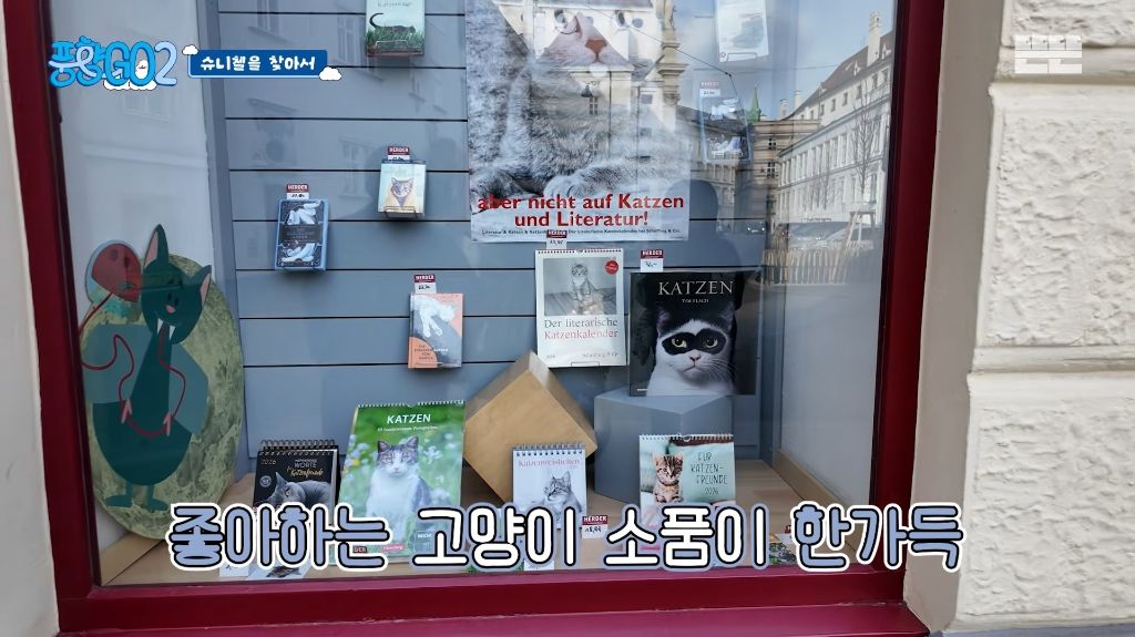 코숏 턱시도 고양이 키운다는 배우 이성민 | 인스티즈
