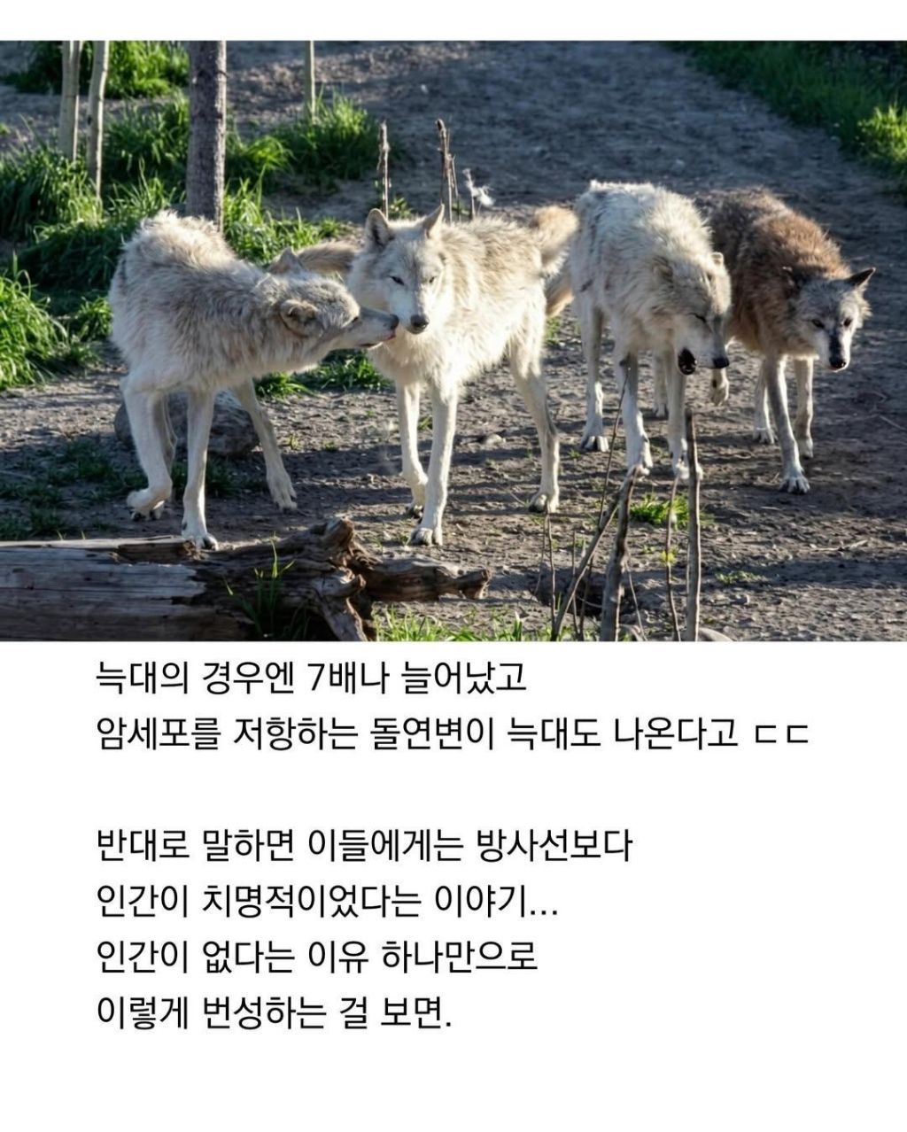 인류는 지구의 암이다 | 인스티즈