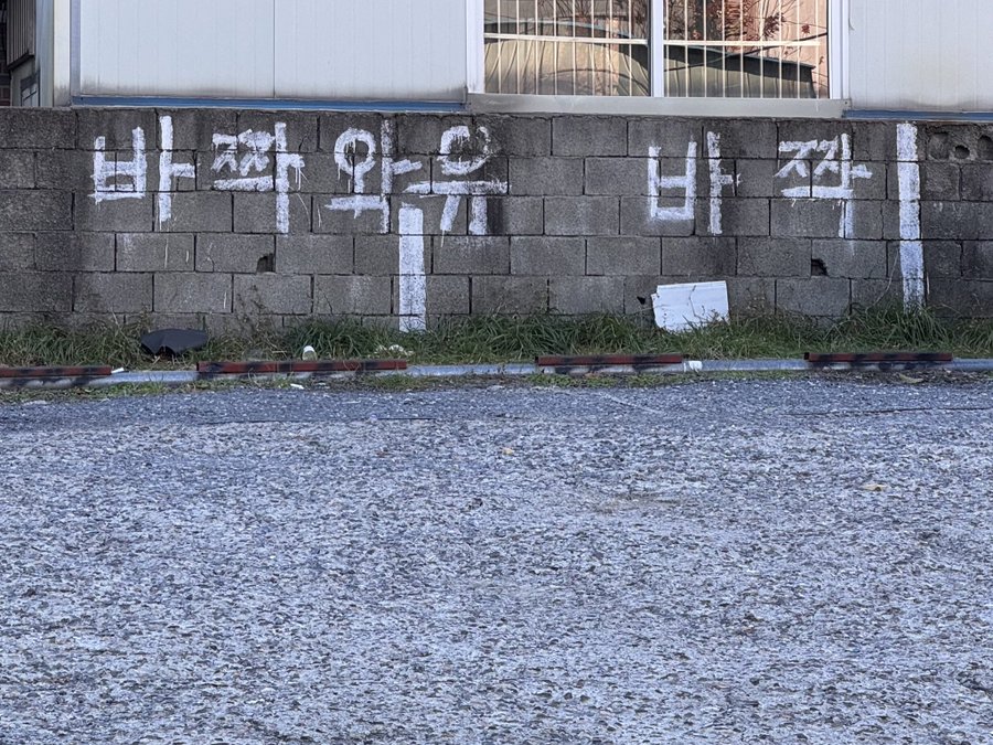 대전은 주차장이 말도 한다 | 인스티즈