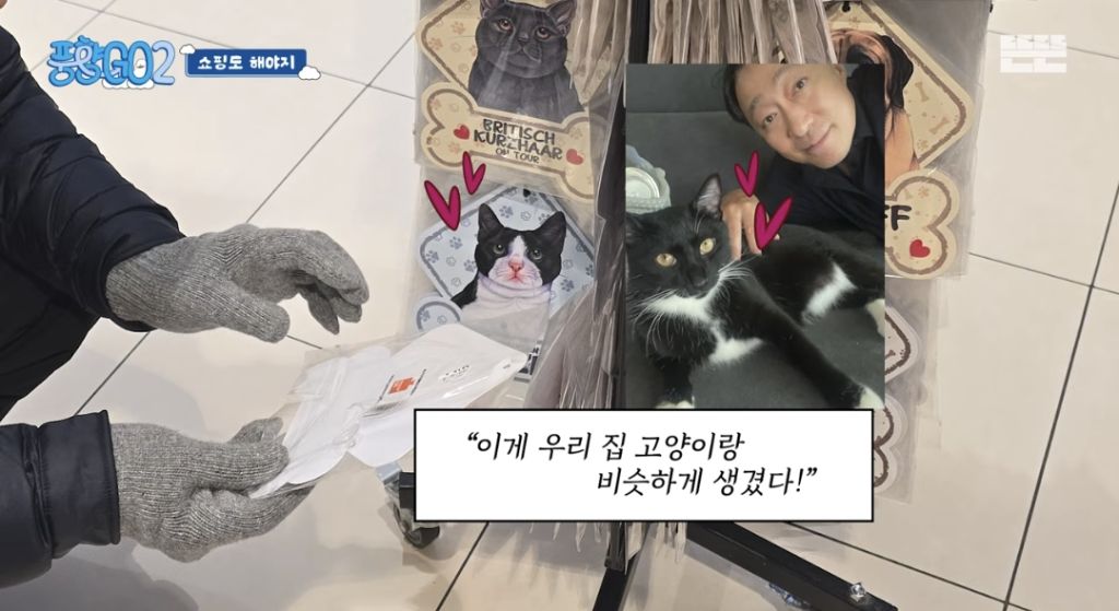 코숏 턱시도 고양이 키운다는 배우 이성민 | 인스티즈