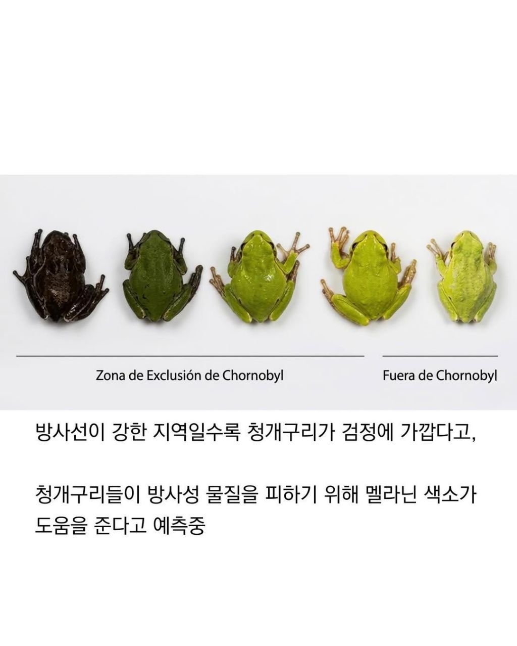 인류는 지구의 암이다 | 인스티즈