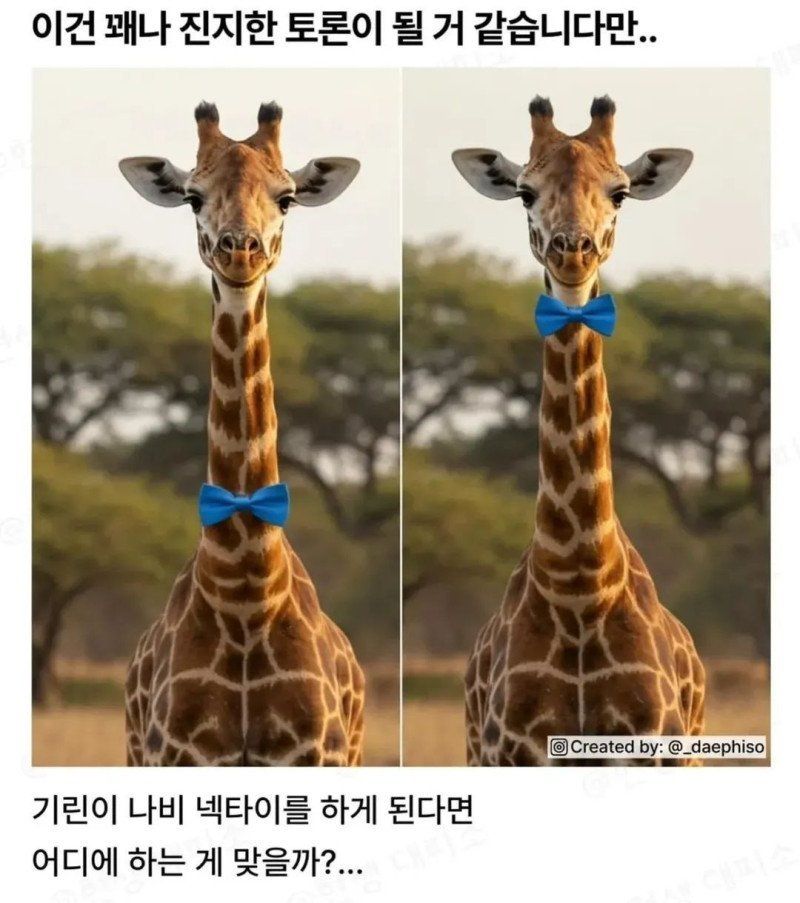 기린 나비넥타이 논란 | 인스티즈