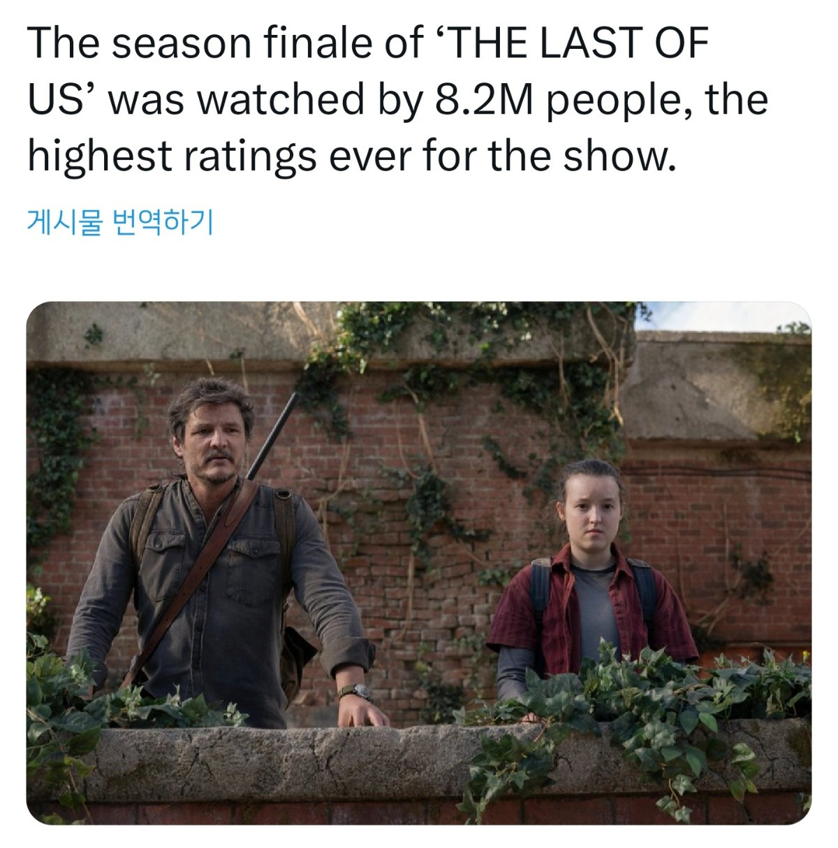 드디어 국내에서도 볼 수 있게 된 역대 게임 원작 드라마 중 가장 평가 좋고 가장 성공한 HBO 드라마 | 인스티즈