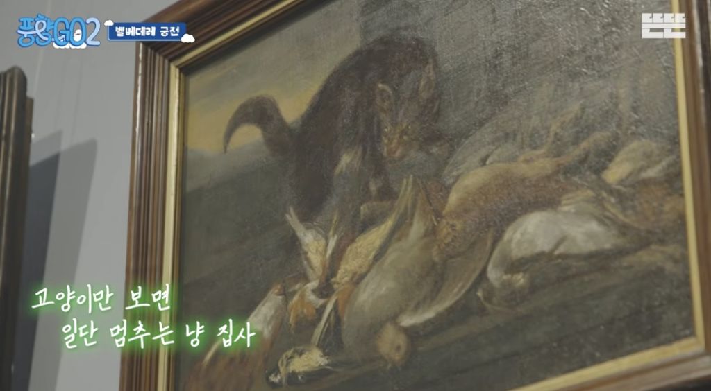 코숏 턱시도 고양이 키운다는 배우 이성민 | 인스티즈