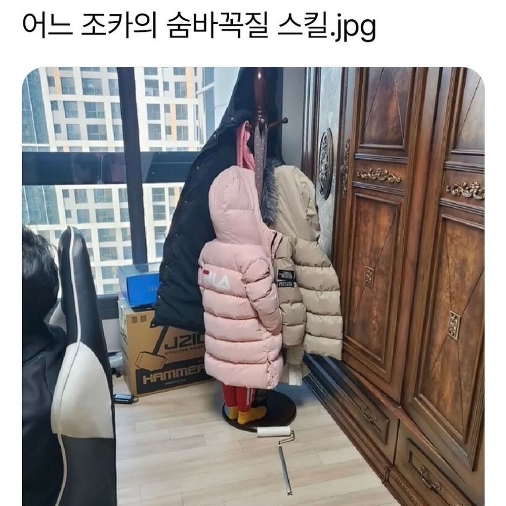 조카의 숨바꼭질 스킬 | 인스티즈
