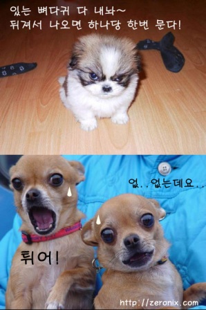 있는거 다 내놔 | 인스티즈