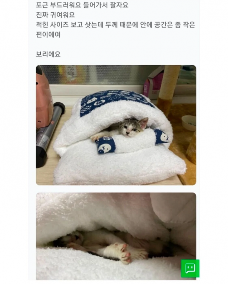 뭔가 이상한 구매 후기 | 인스티즈