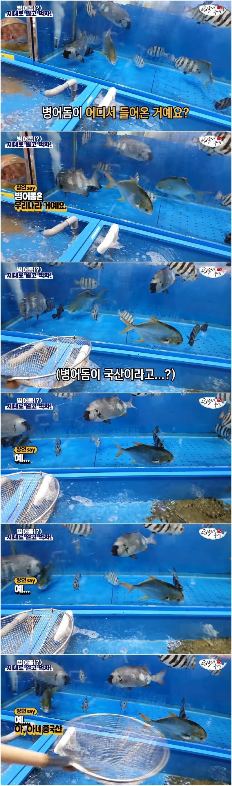 수산시장 신뢰도 바닥 찍었던 사건 | 인스티즈
