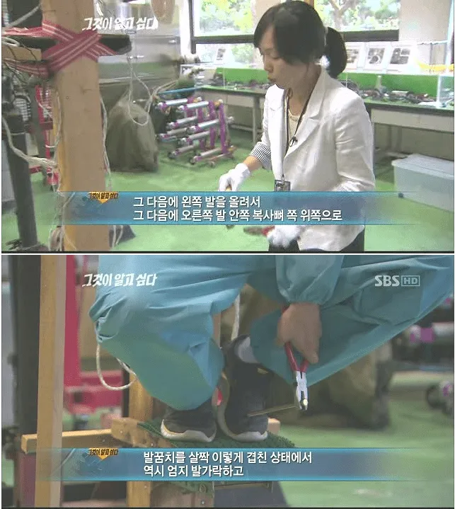 대한민국 자살사건중 가장 쇼킹한 사건 | 인스티즈
