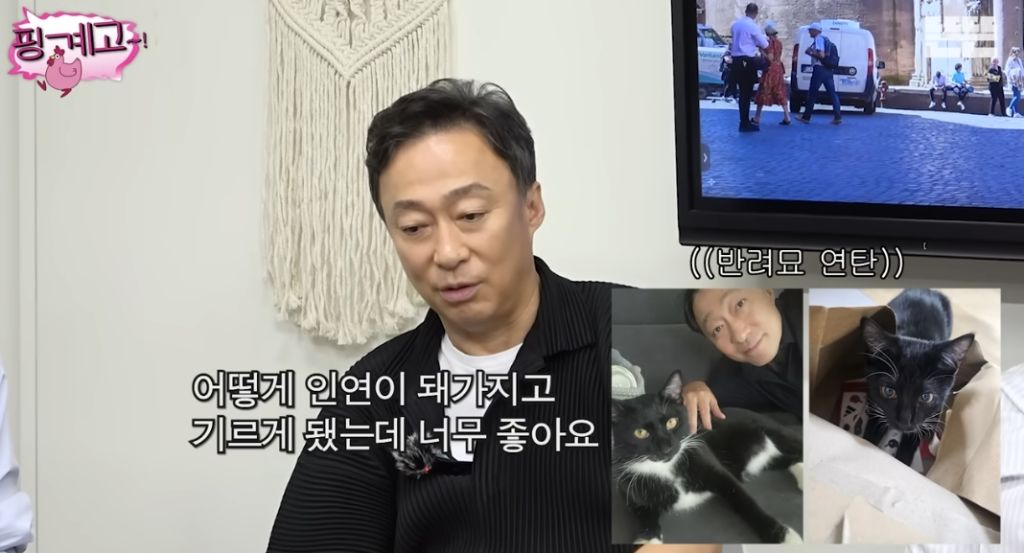 코숏 턱시도 고양이 키운다는 배우 이성민 | 인스티즈