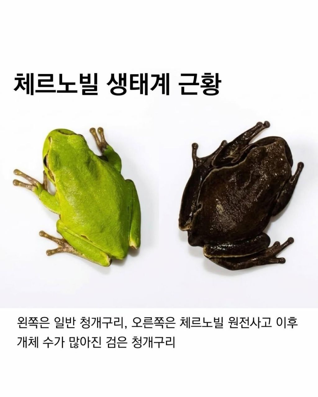 인류는 지구의 암이다 | 인스티즈
