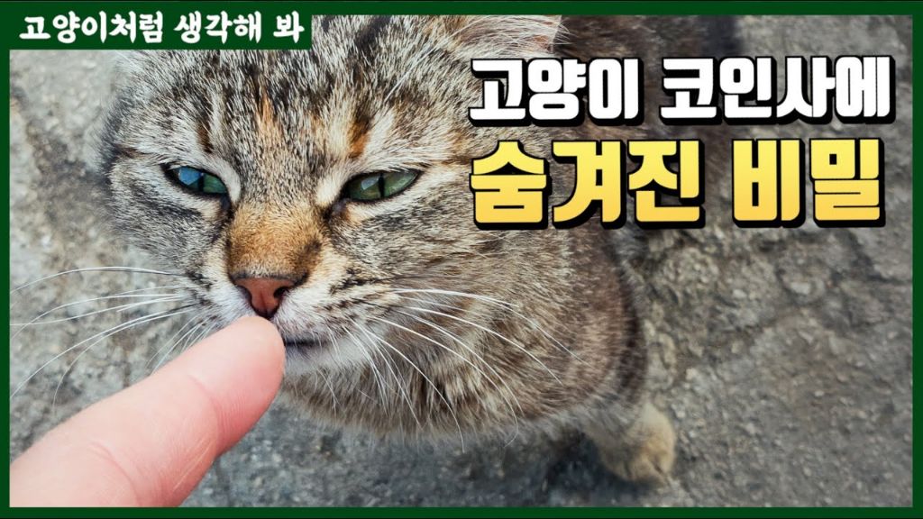 코숏 턱시도 고양이 키운다는 배우 이성민 | 인스티즈