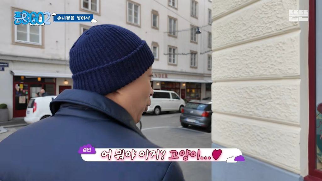 코숏 턱시도 고양이 키운다는 배우 이성민 | 인스티즈
