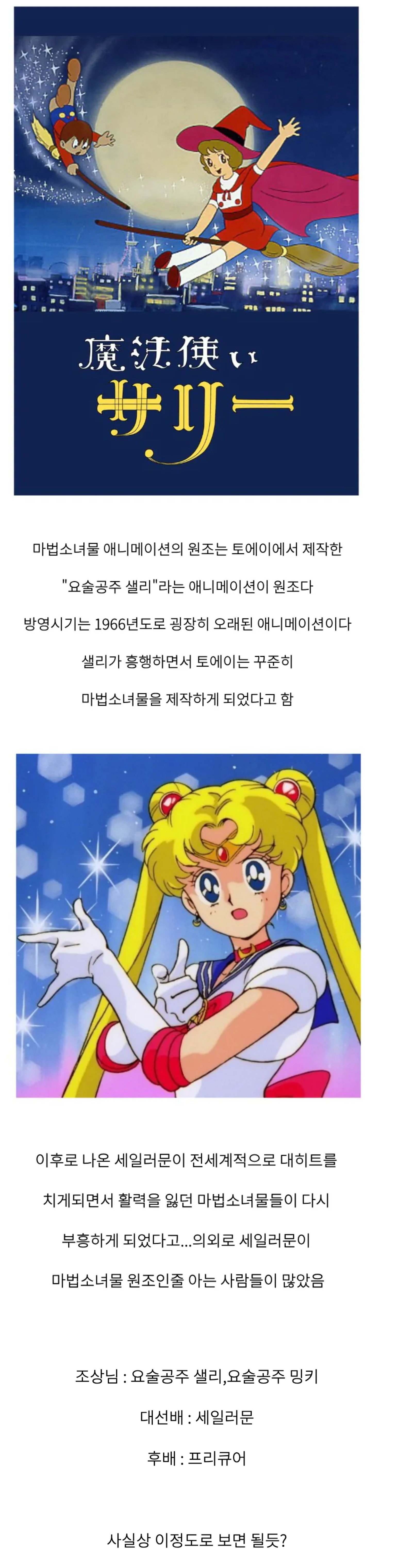 사람들이 잘 모르는 마법소녀물 애니메이션의 원조 | 인스티즈