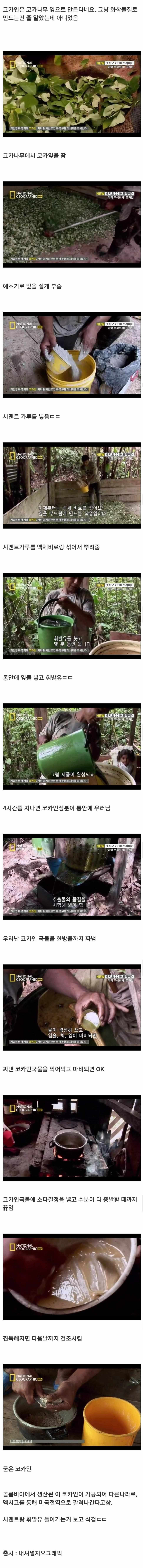 충격적인 코카인 제조 과정 | 인스티즈
