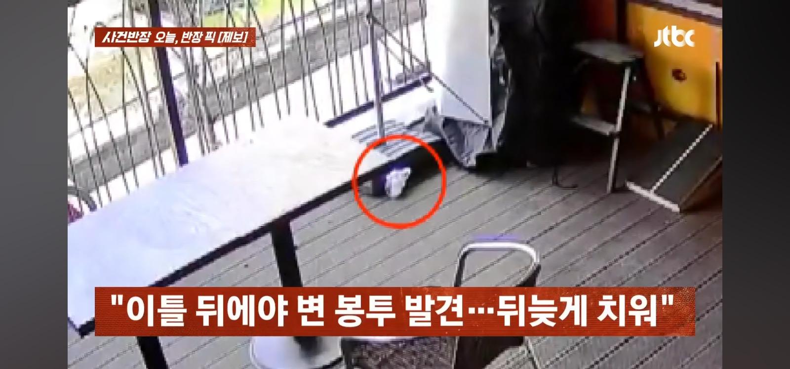 식당 대기하던 여성 배변봉투 툭 | 인스티즈