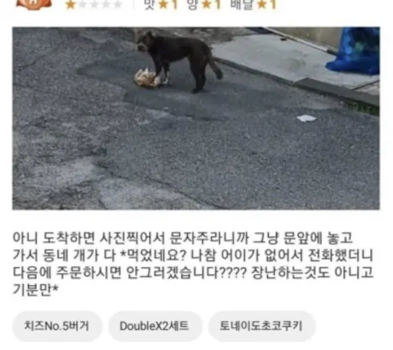 동네 개한테 배민 음식 뺏긴 사람 | 인스티즈