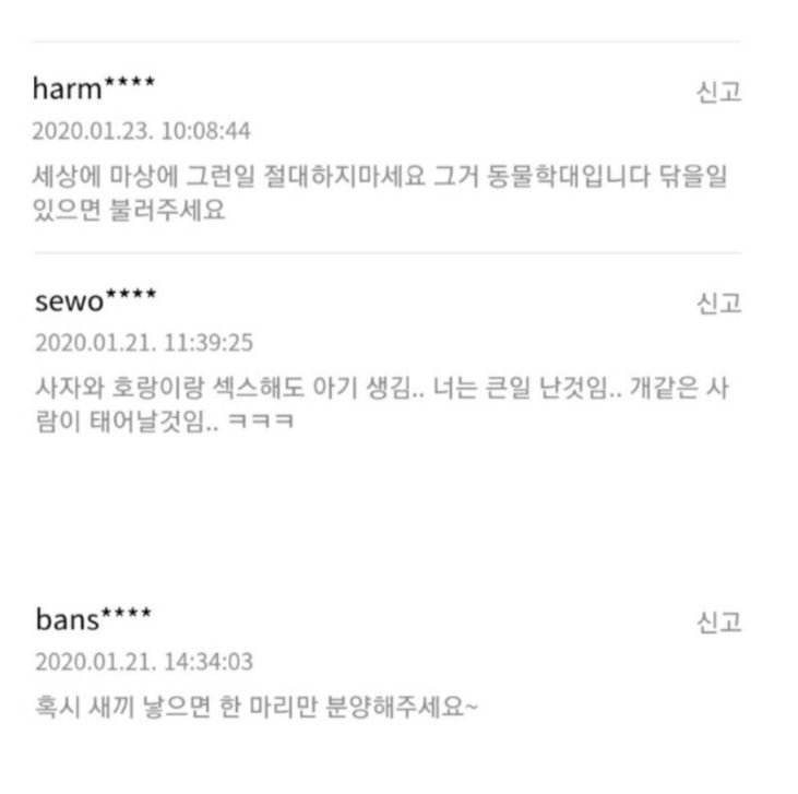 강아지 정액을 만진 여자의 다급한 질문 | 인스티즈