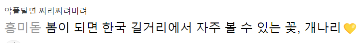 100년동안 이어진 한일간의 벚꽃 원조 논쟁의 결말: 제주왕벚나무와 왕벚나무(일본)은 다른 종임을 확인 | 인스티즈