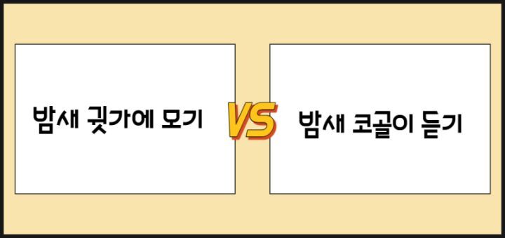 밤새 귓가에 모기vs밤새 코골이 듣기 | 인스티즈