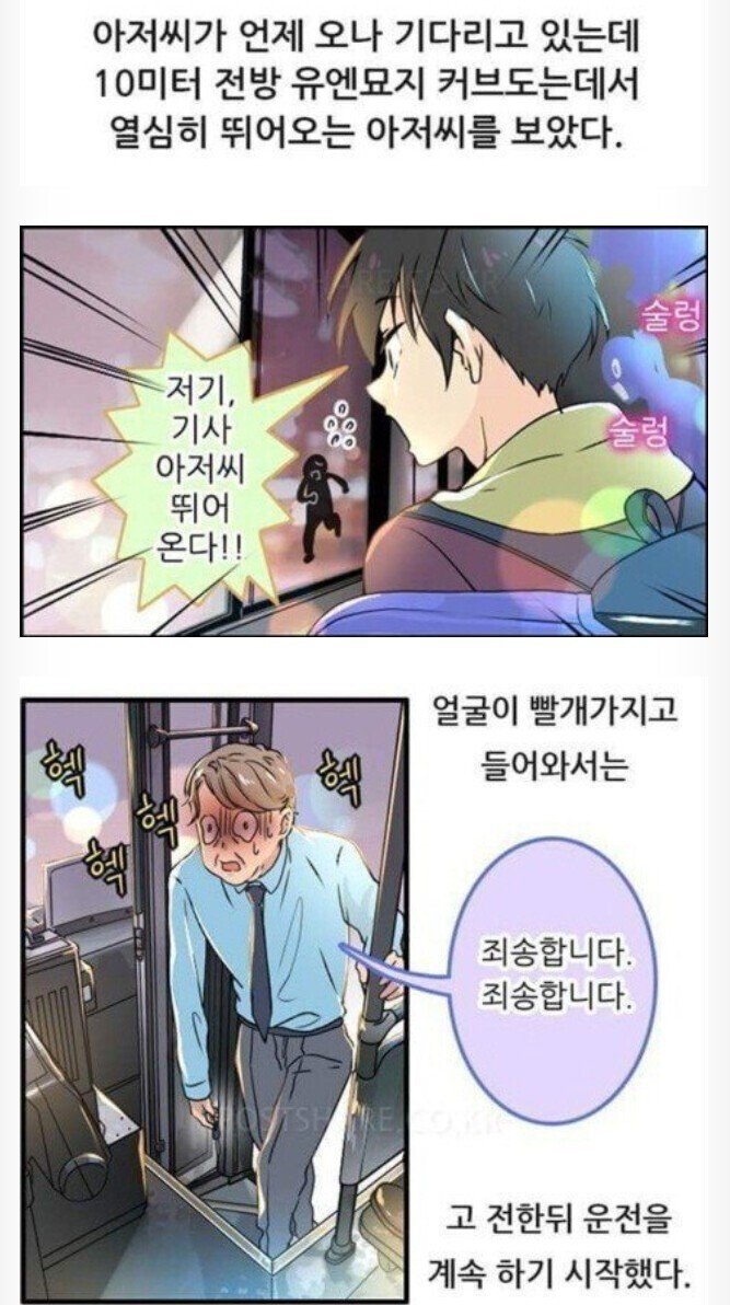 부산 버스 레전드썰 | 인스티즈