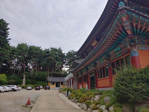 산불로 소실됐다가 재건 후 세계건축상 대상 받은 절 | 인스티즈