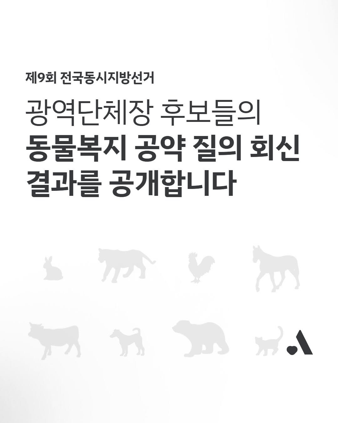 이번 지방선거 전국 광역단체장 후보 동물 복지 공약 비교 | 인스티즈