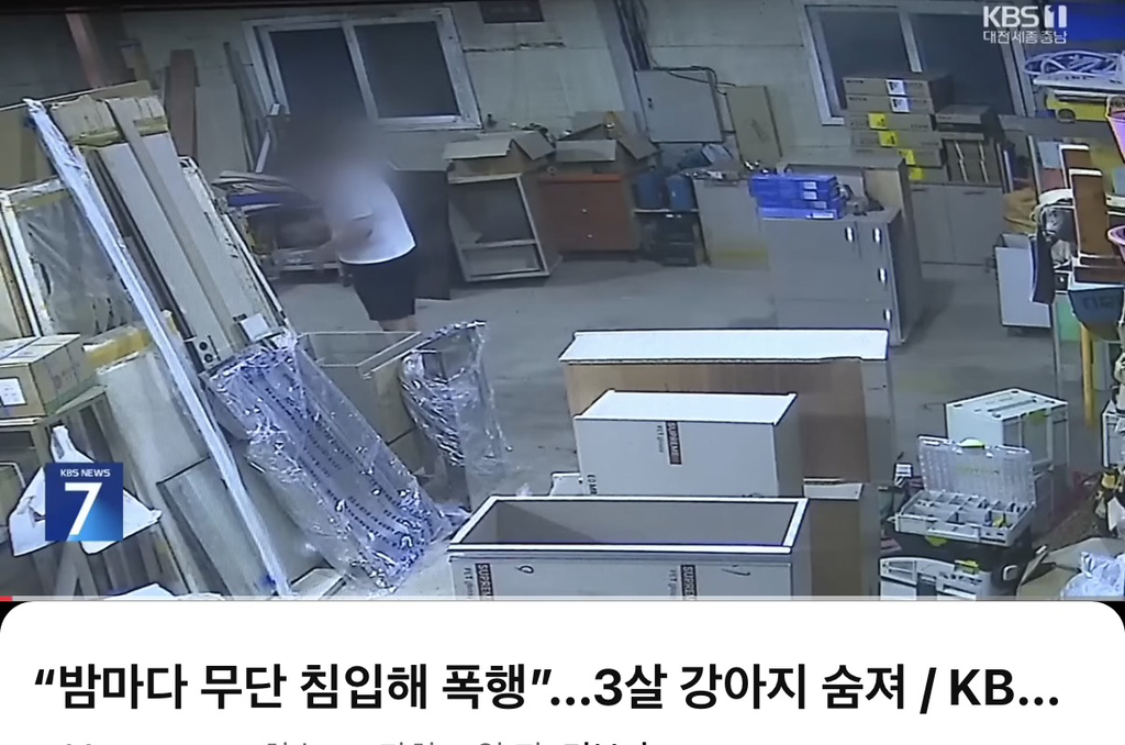 "밤마다 공장 무단 침입해 폭행” 3살 강아지 숨져 (강아지 학대범, 인간이 제일 잔인하다) | 인스티즈