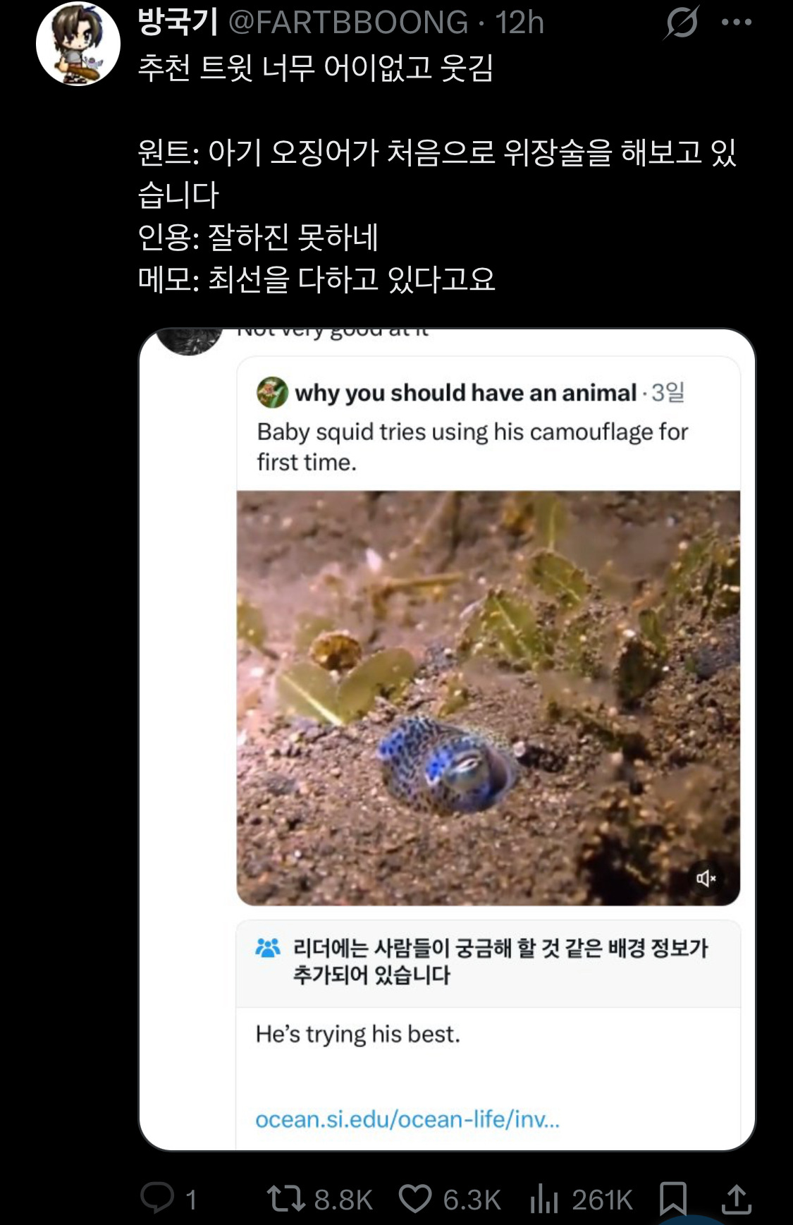 고등학생땐 아이돌이랑 진짜 사귀고 싶었는데ㅋㅋㅋ 성인되니까.twt | 인스티즈