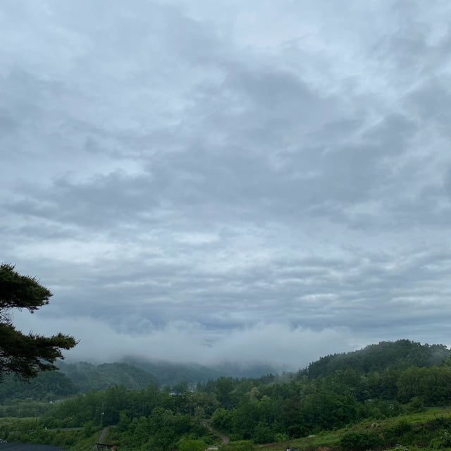 충북 옥천 시골 여름풍경.jpg (힐링글) | 인스티즈
