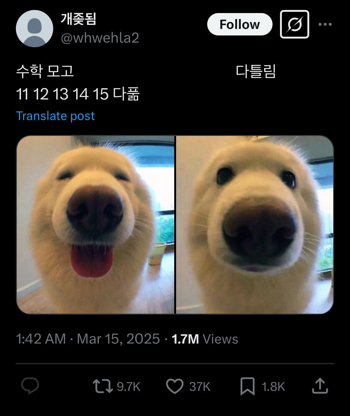 고등학생땐 아이돌이랑 진짜 사귀고 싶었는데ㅋㅋㅋ 성인되니까.twt | 인스티즈