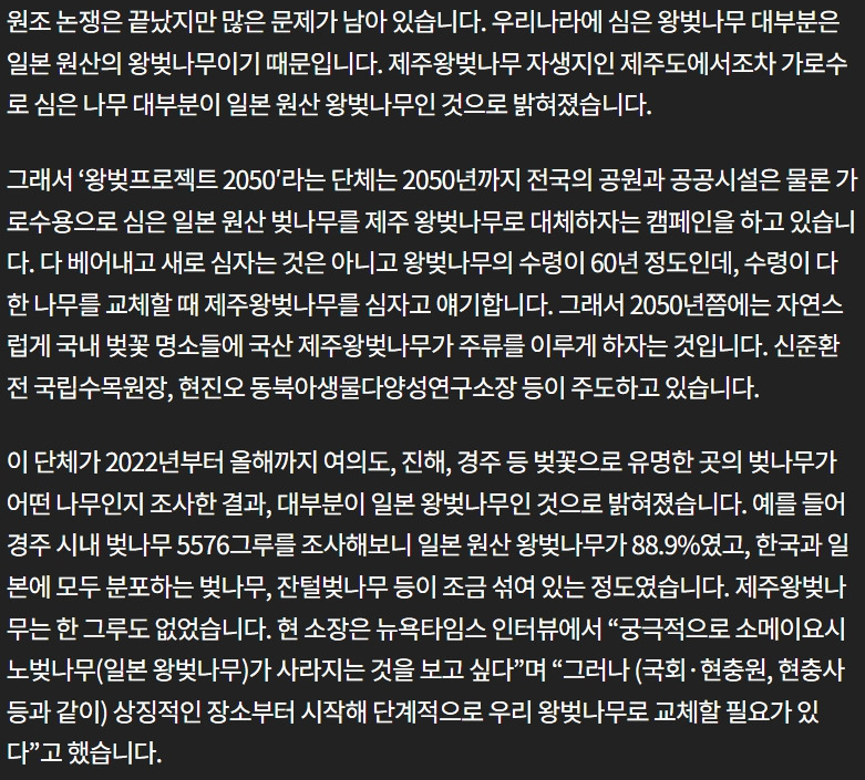 100년동안 이어진 한일간의 벚꽃 원조 논쟁의 결말: 제주왕벚나무와 왕벚나무(일본)은 다른 종임을 확인 | 인스티즈