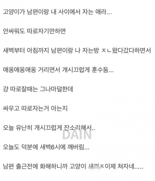 남편이랑 싸워도 따로 잘 수가 없는 이유 | 인스티즈