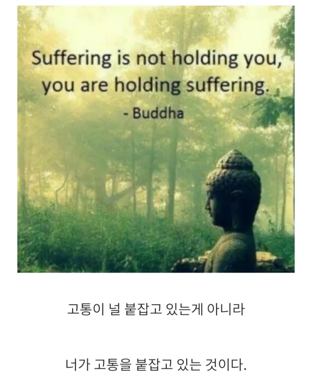 의대 못간 죄책감에 시달린 남자 | 인스티즈