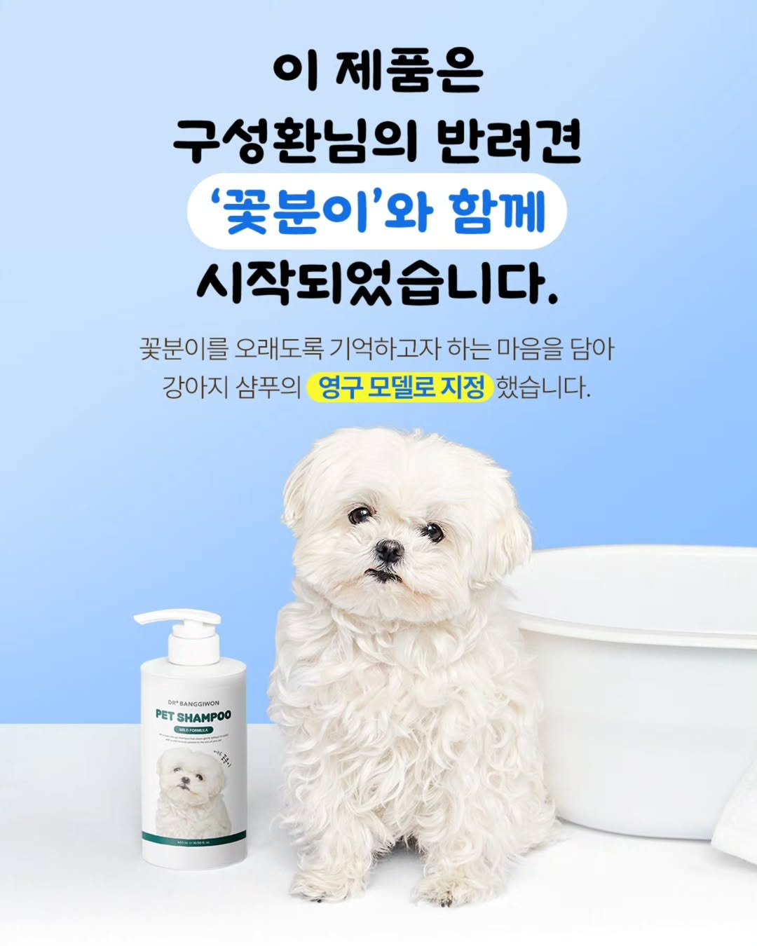 구성환 인스타 업뎃 feat.꽃분이 샴푸 | 인스티즈
