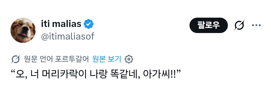 털이 똑같아서 멈춤.gif | 인스티즈