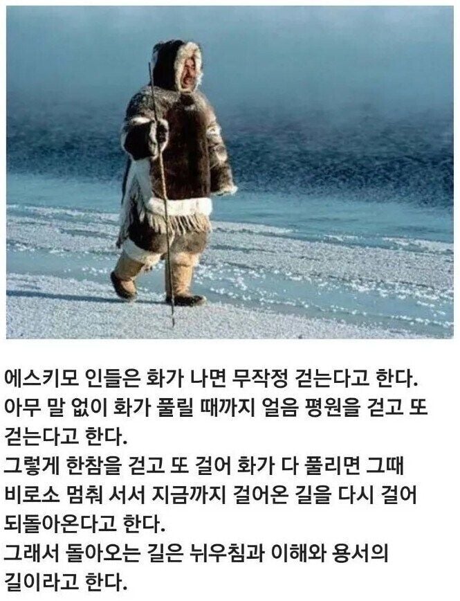 에스키모인들이 화를 식히는 방법 | 인스티즈