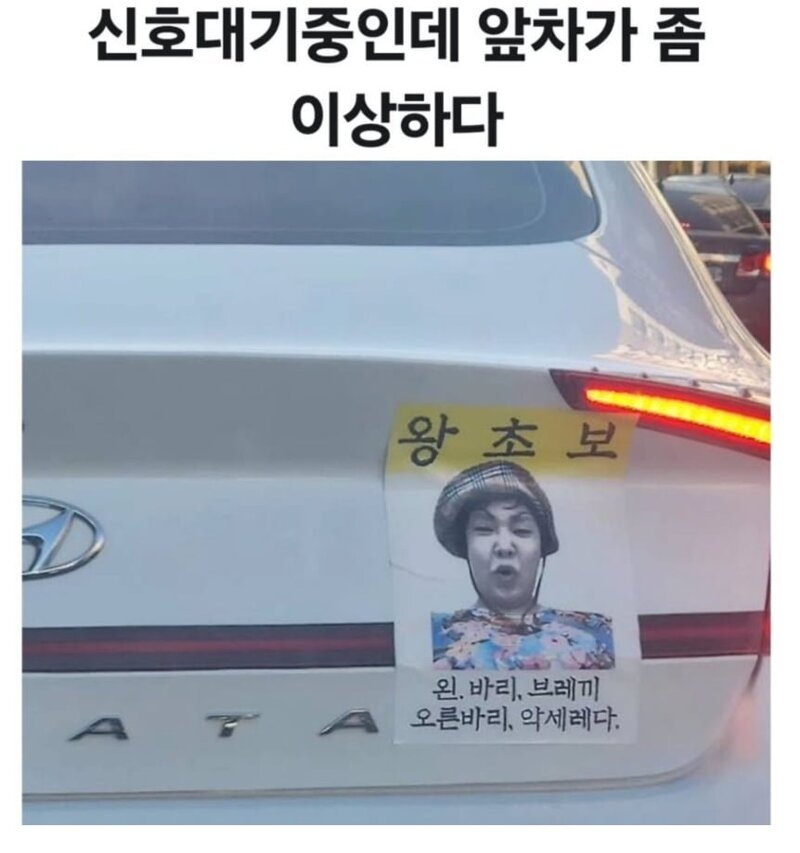신호 대기중인데 앞차가 좀 이상하다 | 인스티즈
