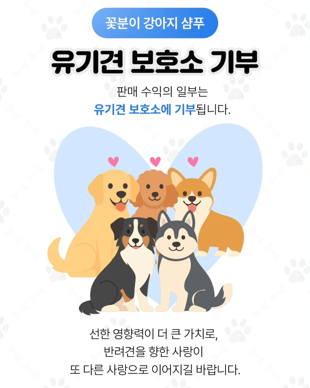 구성환 인스타 업뎃 feat.꽃분이 샴푸 | 인스티즈