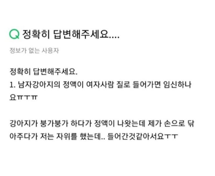 강아지 정액을 만진 여자의 다급한 질문 | 인스티즈
