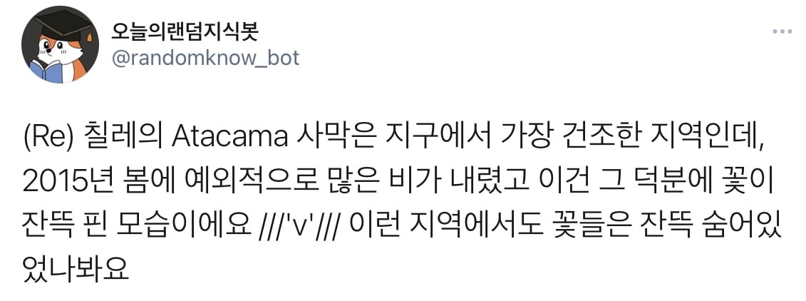 사막에 7년분의 비가 내렸을 때 나타나는 현상 | 인스티즈