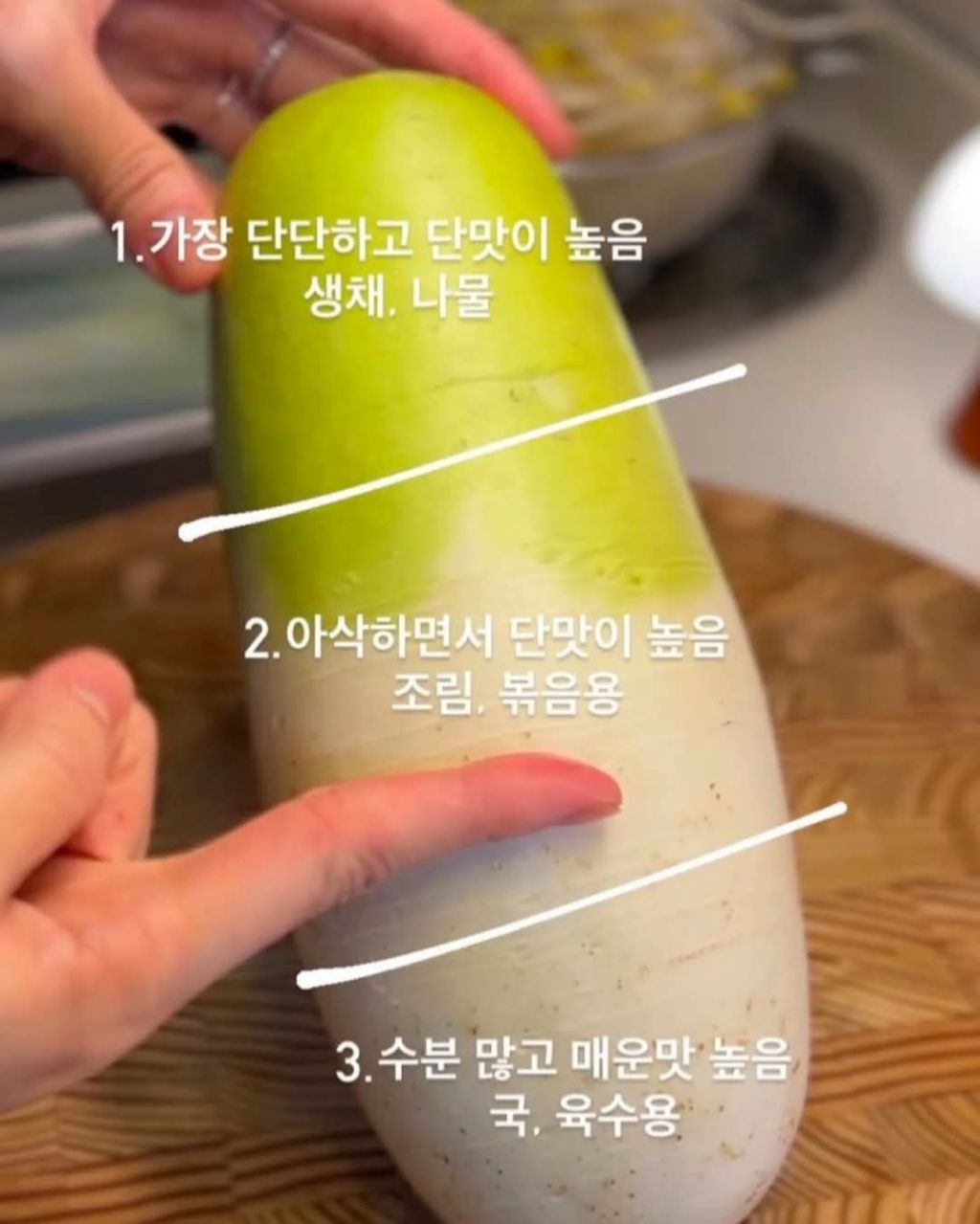 아주 간단하고 확실한 무 구분 활용법 | 인스티즈