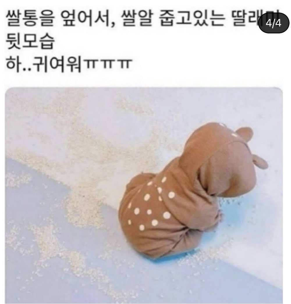 대한민국 뒤태 4인방 | 인스티즈
