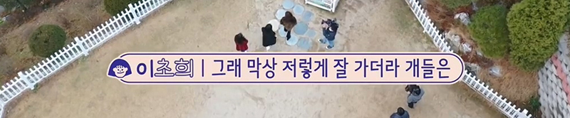 배우 이초희가 유기견을 임시보호하고 보내는 과정 | 인스티즈