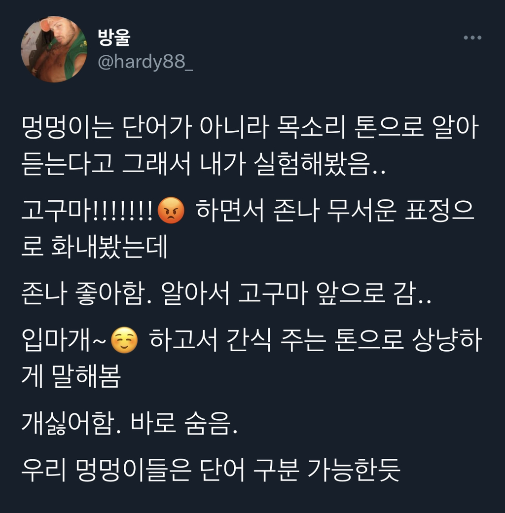 강아지 자기 이름 아는 줄 알았는데.twt | 인스티즈